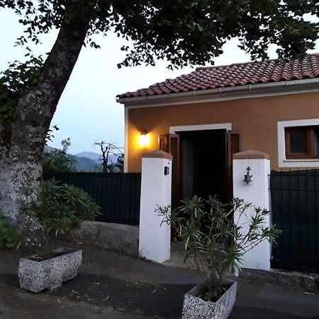 אביזה Petit Coin De Paradis מראה חיצוני תמונה
